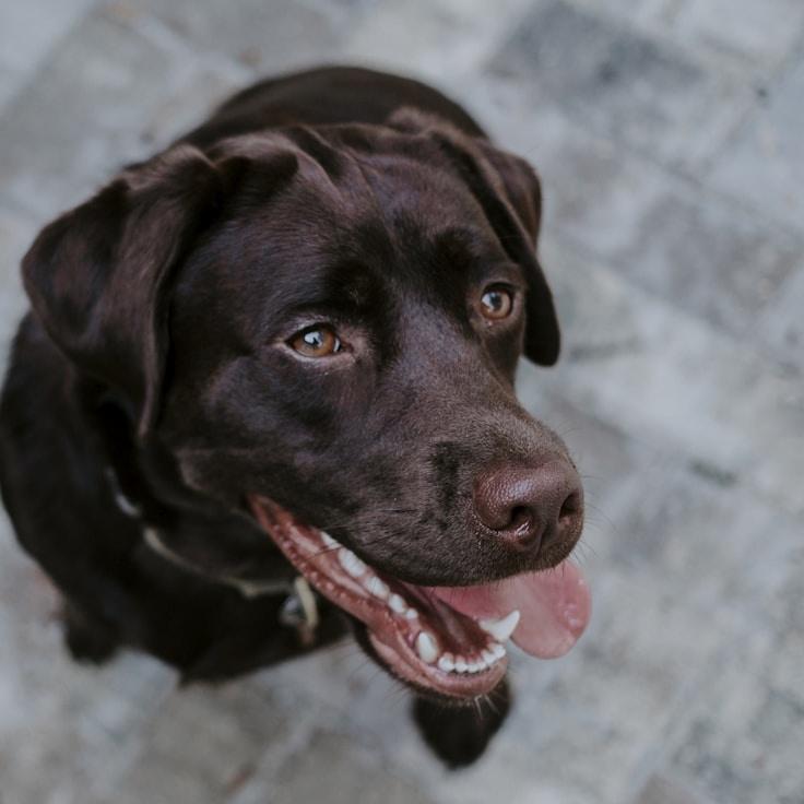 Raj Verma, Client Relations Director, discussing corporate gifting strategy with business clients